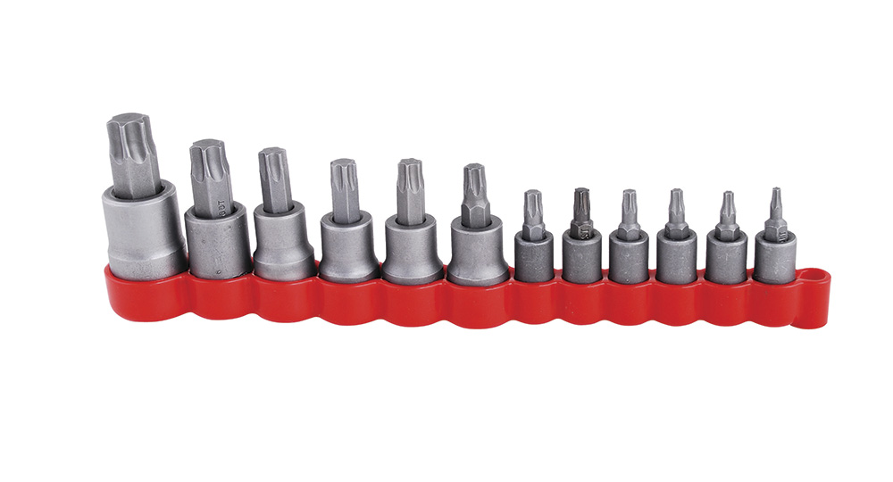 Juego de dados con punta torx cuadro de 1/4", 3/8" y 1/2", 12 piezas