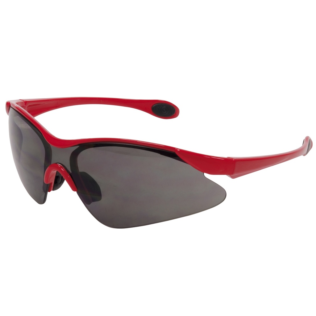 Lentes de seguridad modelo Eclipse, oscuros